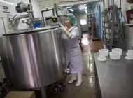 In this photo taken on Wednesday, Aug.  5, 2015, a specialist controls the process of cheese making at John Kopiski's farm in Krutovo village, Vladimir region, about 220 kilometers (some 140 miles) east of Moscow, Russia. Russia has marked the one-year anniversary of its ban on Western agricultural products with an order to destroy contraband food, a move that has raised controversy amid the nation's economic downturn. Farmers like Kopiski backed the Kremlin ban on Western food, hoping to expand their production to fill the market niche which previously had been occupied by imported food. (AP Photo/Alexander Zemlianichenko)